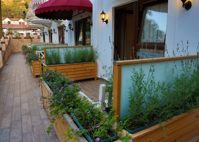 S3 Orange 3* Öludeniz